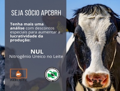 Análise NUL aumenta a produtividade e lucratividade